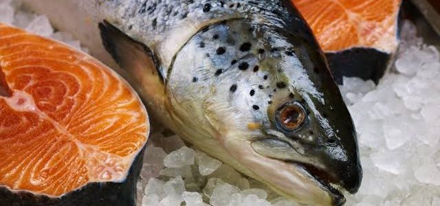 MANFAAT IKAN SALMON DALAM BIDANG KESEHATAN